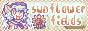 sunshine