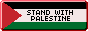 decolonizepalestine Button