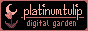 platinumtulip website button, with a gleaming light effect