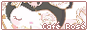 Café Rosé button