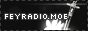 a black and white button with a sword, it says the sites URL 'feyradio.moe'