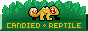 candiedreptile